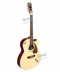 Givson venus rosewood acoustic guitar outlet